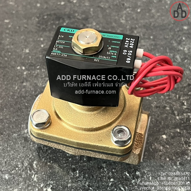 ADK11-25A-02C-AC220V (4) 